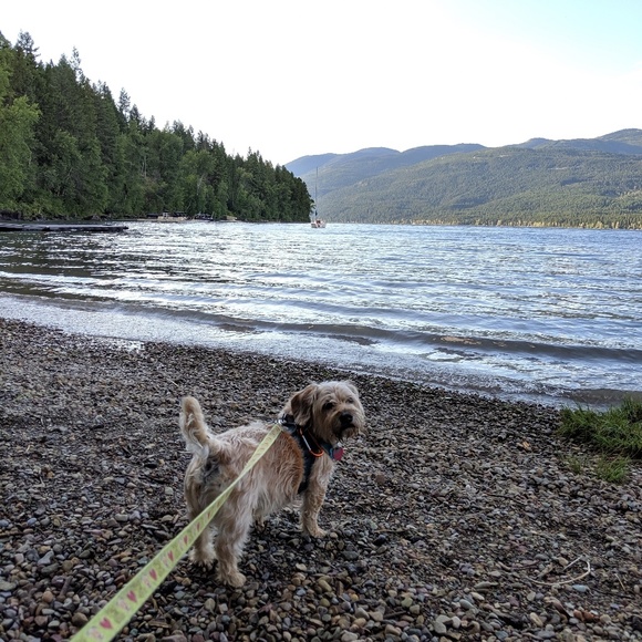 Meet your Posher, Elizabeth - Picture 1 of 1